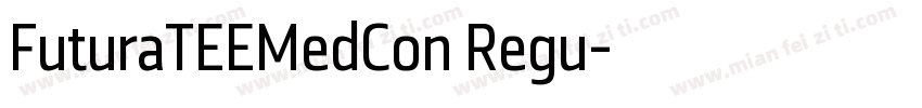 FuturaTEEMedCon Regu字体转换